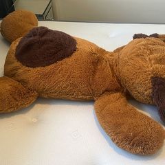 Large Teddy