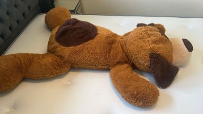 Large Teddy
