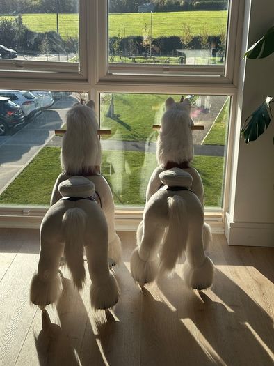 2 Unicorn riding ponies