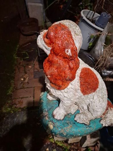 concrete dog