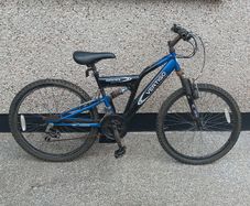 Teenage bicycle