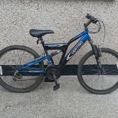 Teenage bicycle