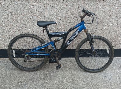 Teenage bicycle