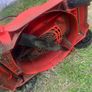 Lawnmower Image 3
