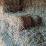 small square bales straw Image 2