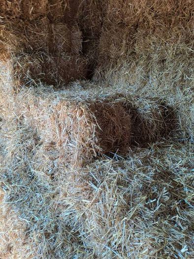 small square bales straw