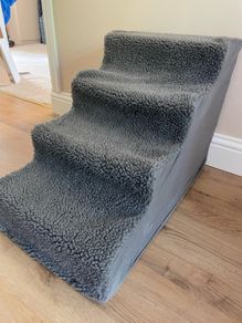 dog steps