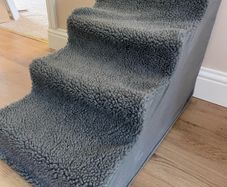 dog steps
