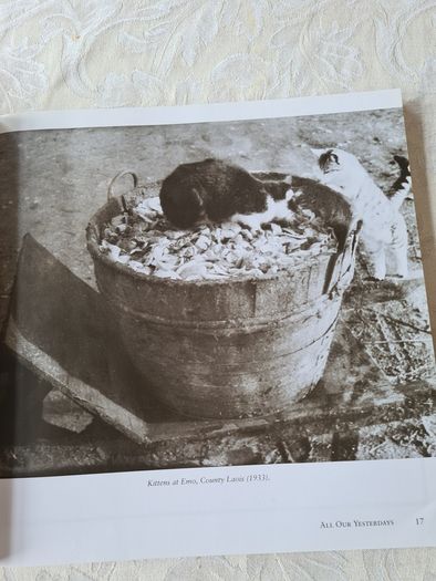 . All Our Yesterday's. Father Browne's Photographs Of Children And Their Favorite Pomes.