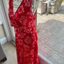 Jenny D Red Dress Image 2