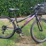 Girl's Bike Image 2