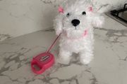 Toy Dog