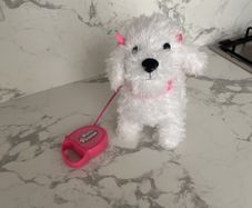 Toy Dog