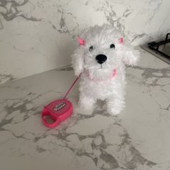 Toy Dog