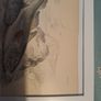Antique fish prints Image 4
