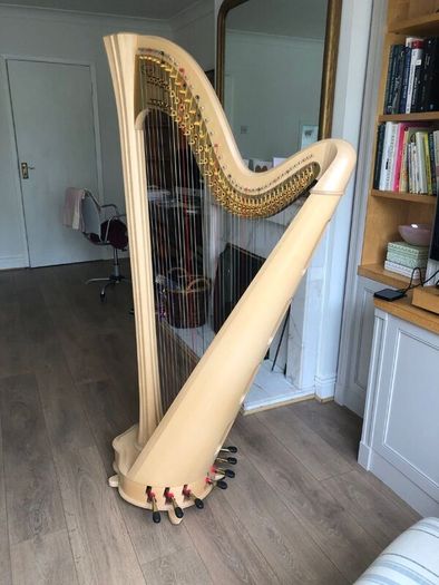 Salvi Daphne 40 Pedal Harp in Perfect Condition