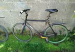 No Logo Fixie
