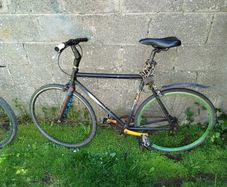 No Logo Fixie