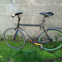 No Logo Fixie