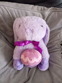 Plush teddies