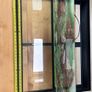 Vivarium / Reptile Enclosure Image 8
