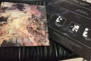 The God Machine Scenes from the second storey 2lp reissue