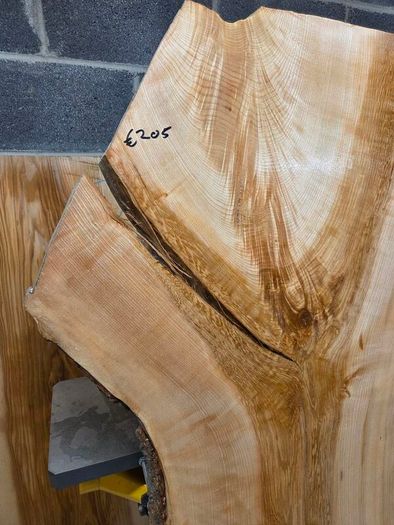 Live Edge Ash Slab - Kiln Dried