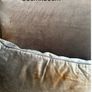 Laura Ashley Cushions price is for all Image 6