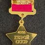 Russian  , ussr , red army, hero of the Soviet Union gold star. Image 2