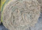 Organic Hay