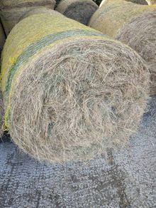 Organic Hay