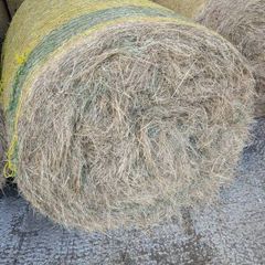Organic Hay