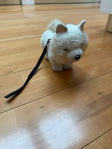 Generation doll Pomeranian Pup