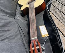 Cort Guitar