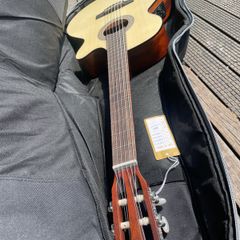 Cort Guitar