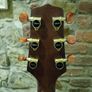 Takamine EN10 Image 4
