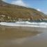 Whiteowl