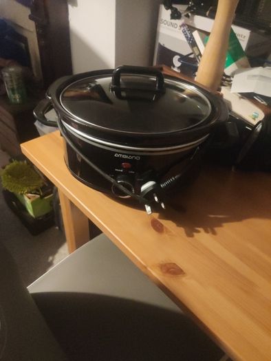 electric roaster