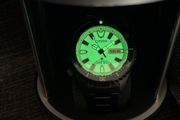 Citizen promaster fugu full lume automatic dive watch