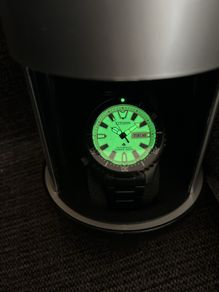 Citizen promaster fugu full lume automatic dive watch