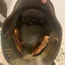 ww1 helmet Image 3