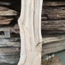 Timber,solid wood slabs,planks,live edge Image 4