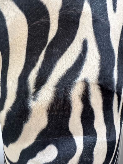 Lamp Zebra Print