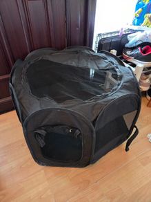 Pop Up Kitten Tent