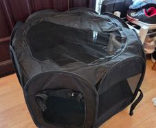 Pop Up Kitten Tent