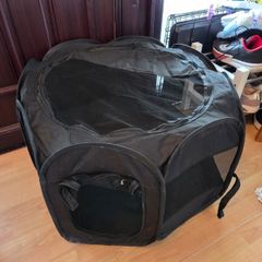 Pop Up Kitten Tent