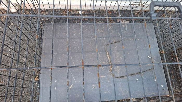 Dog cages