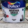 Exterior Brilliant White Paint Image 2