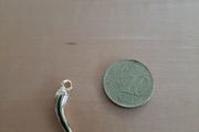 Italian horn charm