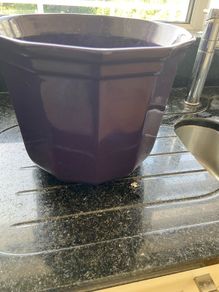 Planter Purple colour